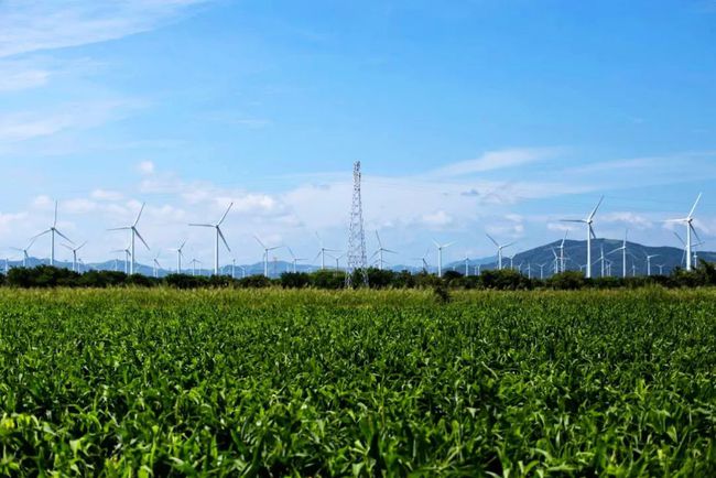 收購墨西哥818MW光伏電站，國家電投境外光伏電站裝機(jī)超6GW