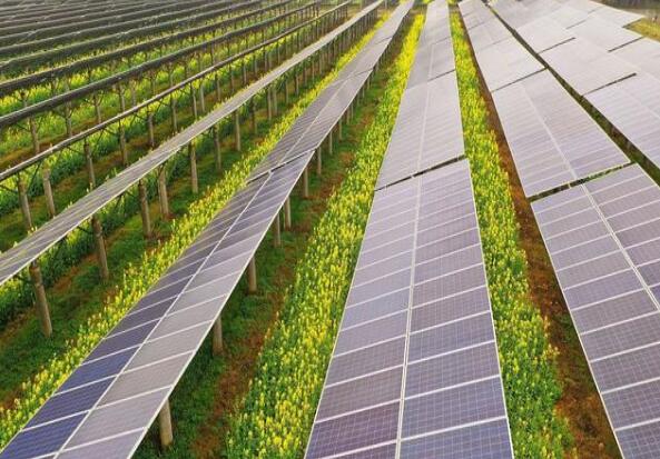 廣東清遠建設小型農光互補光伏發(fā)電站，工程總投資1.5億元