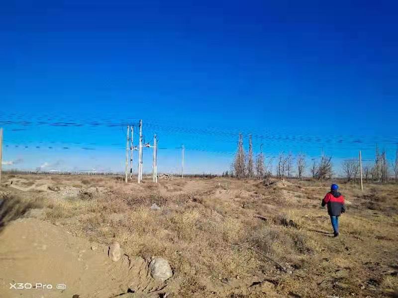 烏海電業(yè)局農電處千里山農電所：加強巡線，確保冬季電網安全