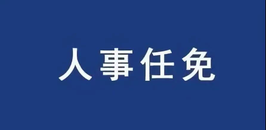 重磅！張智剛?cè)螄?guó)家電網(wǎng)總經(jīng)理、黨組副書(shū)記，韓君出任三峽集團(tuán)總經(jīng)理