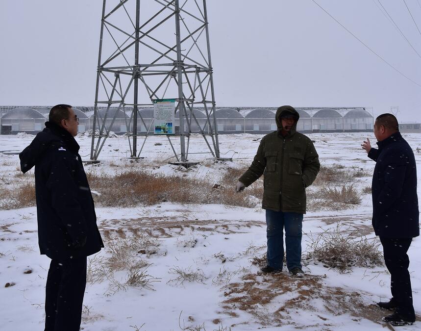 二連浩特供電公司：開展客戶側(cè)安全檢查，確?？诎犊蛻粝楹兔髁吝^春節(jié)