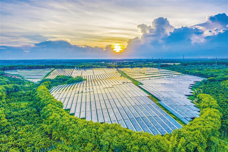 海南電網(wǎng)公司加快構(gòu)建現(xiàn)代供電服務(wù)體系，驅(qū)動(dòng)鄉(xiāng)村振興電力引擎