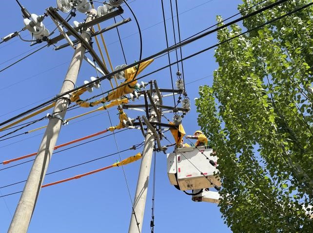 帶電作業(yè)除隱患，安全供電有保障
