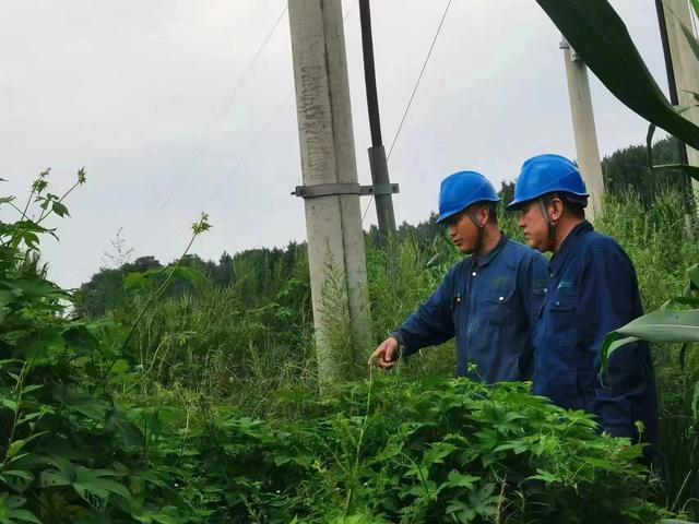 國網長春供電公司積極應對極端天氣，確保線路設備穩(wěn)定運行