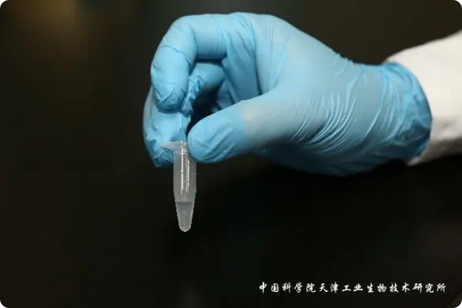 二氧化碳“變身”糖，中國(guó)科學(xué)家實(shí)現(xiàn)重大突破!