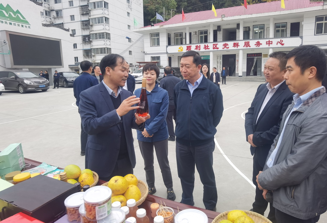 中核集團(tuán)總經(jīng)理、黨組副書記顧軍赴陜西白河、旬陽調(diào)研鄉(xiāng)村振興工作