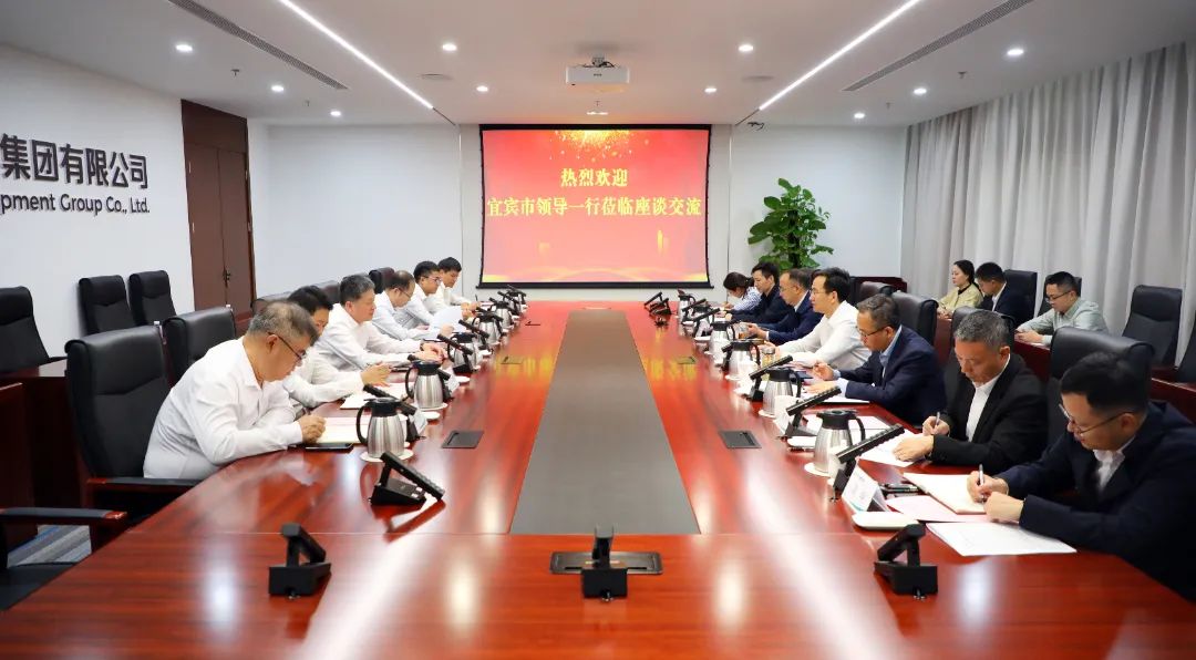 中國電氣裝備黨委副書記、總經(jīng)理周群會見宜賓市委書記方存好