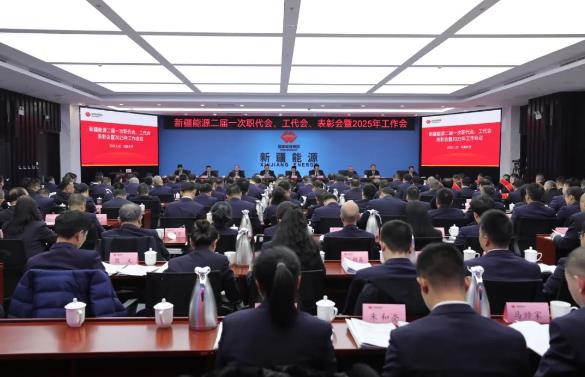 國能新疆能源召開二屆一次職代會、工代會、表彰會暨2025年工作會